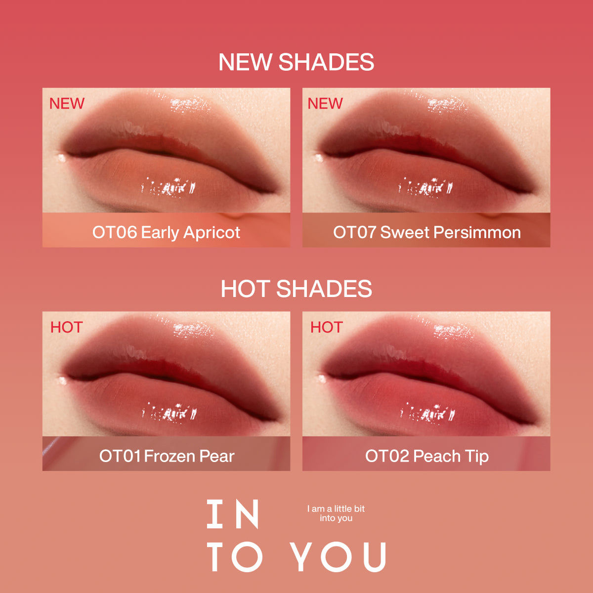 INTO YOU One Shot Lip Tint