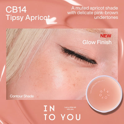 INTO YOU Air Cushion Blush 2.0