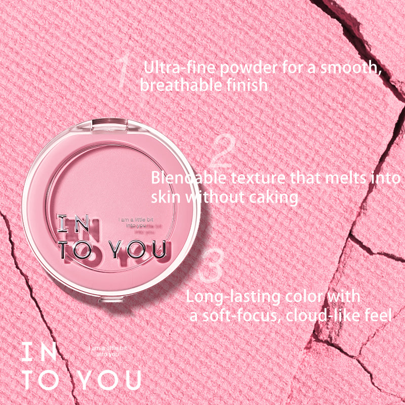 INTO YOU FLUFFY PILLOW SINGLE BLUSHER