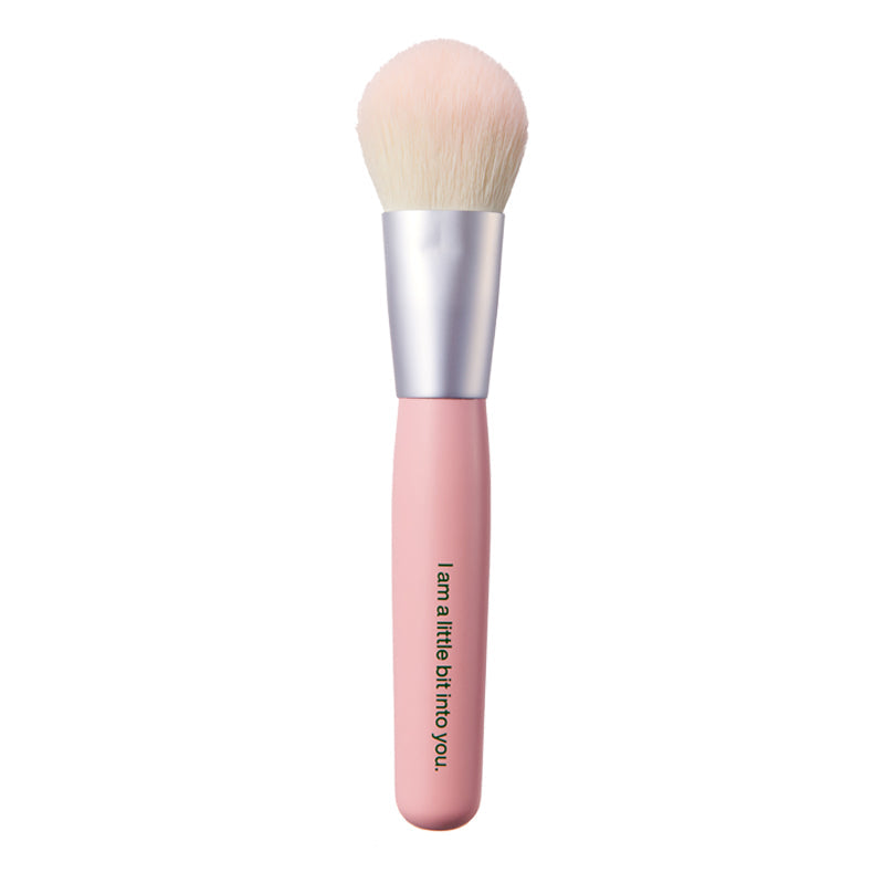 » INTO YOU Mini Makeup Brushes (100% off)
