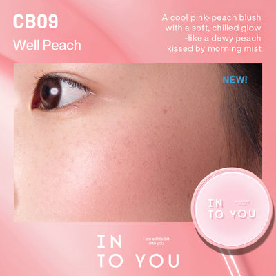 INTO YOU Air Cushion Blush 2.0