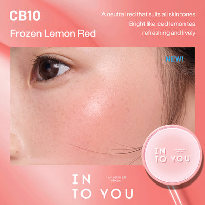 INTO YOU Air Cushion Blush 2.0